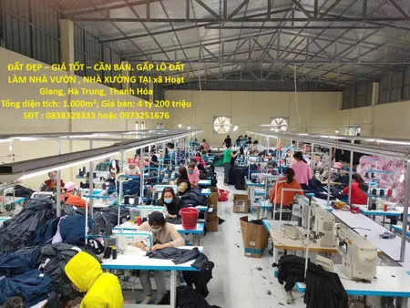 ĐẤT ĐẸP – GIÁ TỐT – BÁN GẤP LÔ ĐẤT  LÀM NHÀ VƯỜN , NHÀ XƯỞNG TẠI xã Hoạt Giang, Hà Trung, Thanh Hóa