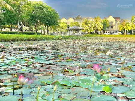 Chính chủ cần bán căn nhà phố park riverside, có sổ giá tốt không kê. giá 9,xx tỷ