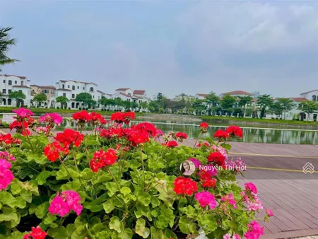 Cam kết rẻ nhất thị trường! biệt thự mặt hồ vinhomes thăng long giá chỉ 240tr/m2!