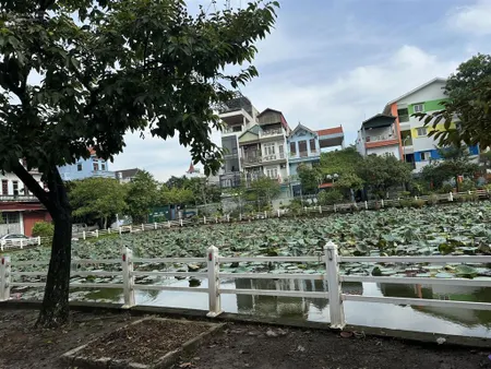 Bán đất phúc lợi long biên dt50m2 1 bước ra ô tô tránh đỗ ngày đêm cạnh hồ điều hoà thoáng mát