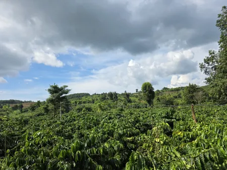 Bán đất 10000m² giá 1 tỷ Xã Nâm Nung