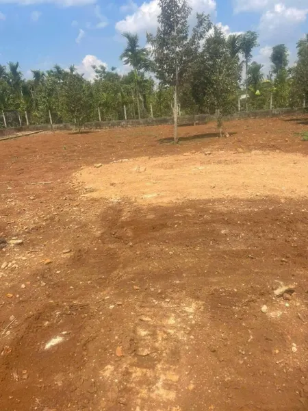 Bán đất 132.9m² giá 299 triệu Xã Ea Ktur