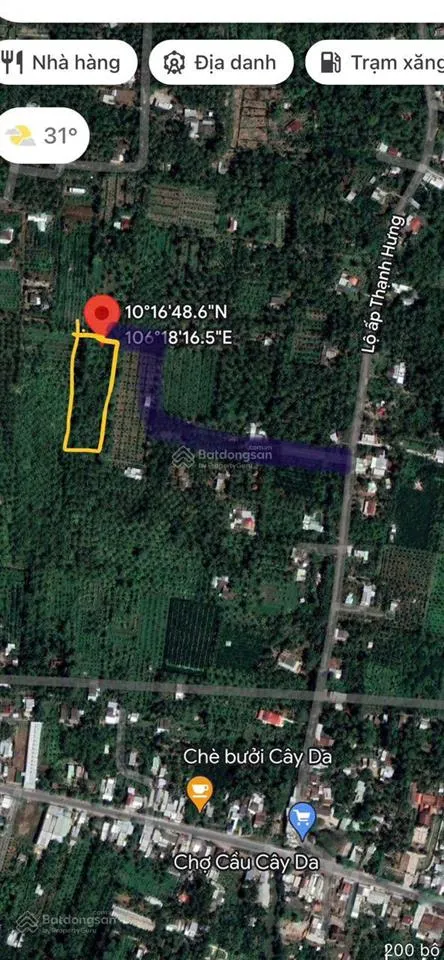 Chính chủ bán 4.099m² đất vườn dừa tại xã tường đa châu thành, bến tre giá chỉ 3,2 tỷ