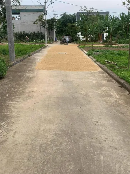 Cơ hội sở hữu đất nhân chính, lý nhân, hà nam