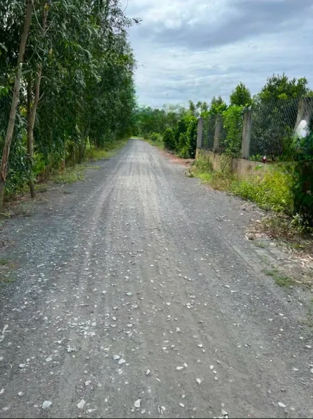 1000m2 ĐẤT LÚA HỰU THẠNH ĐỨC HÒA LONG AN (củ)
👉Chỉ với giá 950tr💰💰💰