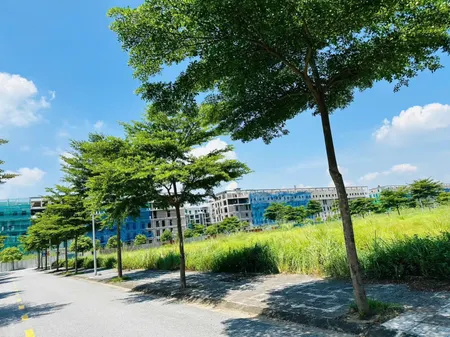 Bán đất 144.8m² giá 7.24 tỷ Phường Đồng Nguyên