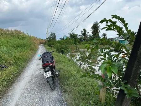 ⭐️ 1.045m² lúa(có 203m² thổ) - kp9 tt Bến Lức