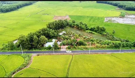 Đất view cánh đồng lúa bao quanh dt 5000m2 mặt tiền gần 100m, phước long thọ, đất đỏ, giá 4 tỷ