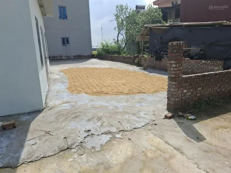 Bán đất fo khu phố yên ngô an.bình bắc ninh dt 99m mt hậu 5m ô tô thông thủ phủ nhà trọ gía công nh