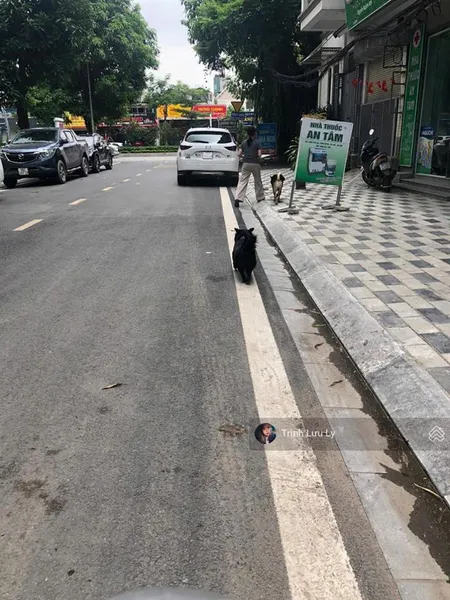 Bán đất 675 lạc long quân 155 m2 mặt tiền khủng phân lô ô tô hàng xóm lotte tây hồ