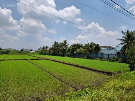 Đất mặt tiền sông (2 mặt trước sau) nhị bình 18a hóc môn (đất nông nghiệp dt 2473m2)
