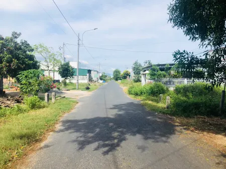 Bán đất 451m² mặt tiền Nguyễn Thông, Tân Bình, La Gi – Có 60m² thổ cư, chỉ 2 Tỷ