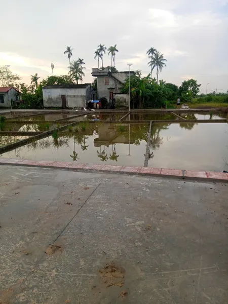 Bán đất 65m² ngang 5m giá 590 triệu Xã An Trườn( Bất Trang). liên hệ 0362558882