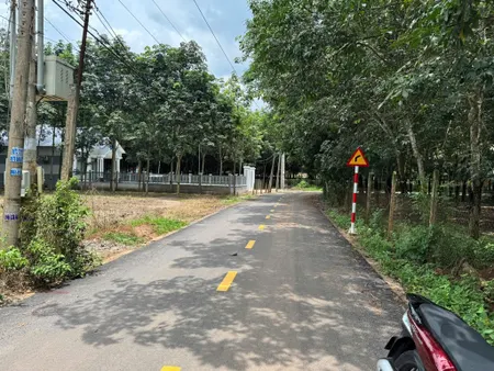 Bán lô đất biệt thự 10m*42m ngay ủy ban Tân Hiệp, sát đường tạo lực Phú Giáo giá 980tr bao hết sổ sách cam kết giá thật