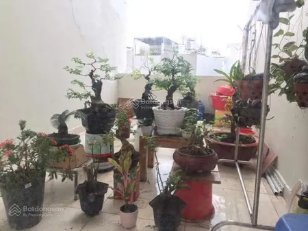 Bán chung cư dream home residence chỉ 2tỉ50 triệu