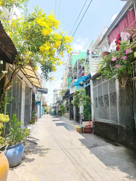 Nhà hẻm 6m oto trước cửa Hưng Phú P.Chánh Hưng (P10Q8)