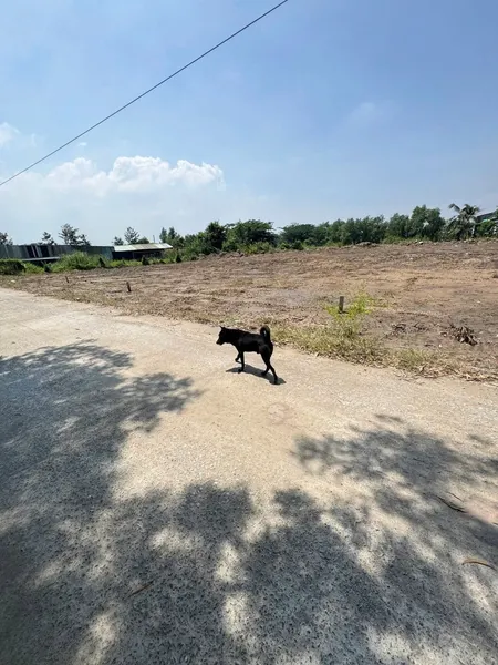 Bán đất 269.6m² ngang 70m Xã Đức Hòa