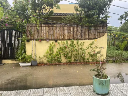 Đất đẹp đường 4m có lề gần trần nhân tông, ô tô đỗ tận nơi view dừa
