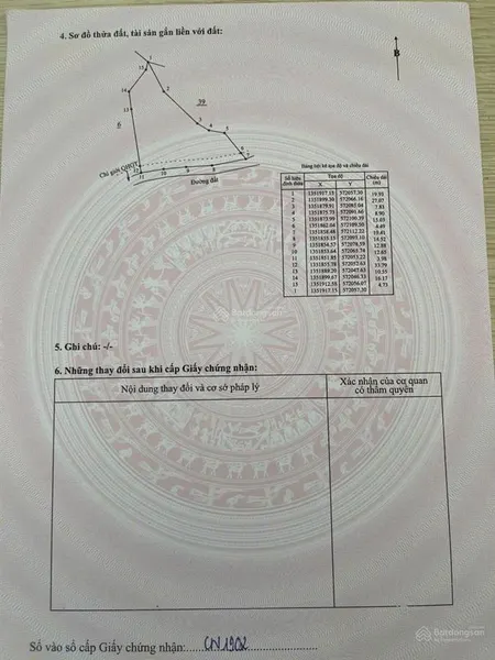 Cần tiền bán đất cln tại xã sông cầu khánh vĩnh, trên đất đã có 100 cây bưởi đang cho thu hoạch