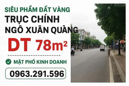 Chính chủ bán đất kinh doanh mặt phố ngô xuân quảng vị trí trung tâm quận gia lâm .0963 291 ***