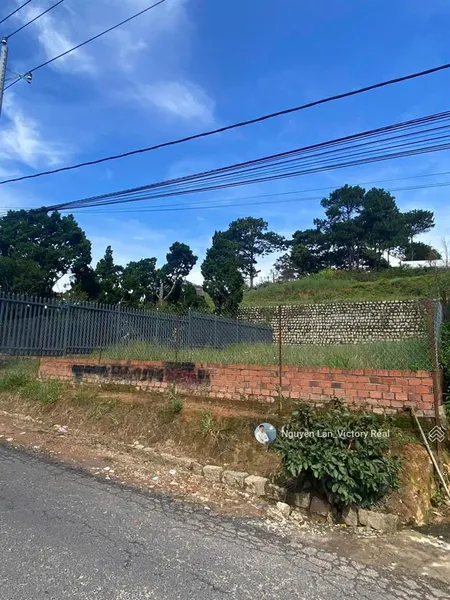 Đất biệt thự view đẹp giá tốt đường trịnh hoài đức đà lạt