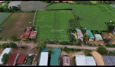 7 nền dran ra mắt đường bê tông thông rộng rãi sẵn thổ cư diện tích đủ rộng view đủ xinh vị tr