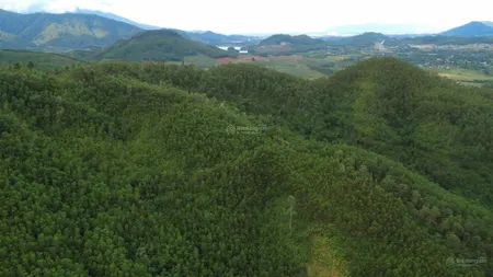 Bán đất tại đt 602, hòa ninh, hòa vang, đà nẵng, 7,5 tỷ, 4600 m2