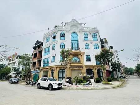 Cực hiếm biệt thự lô góc 110m2 tuyệt phẩm long biên gần phố full nội thất thang máy gara ô tô