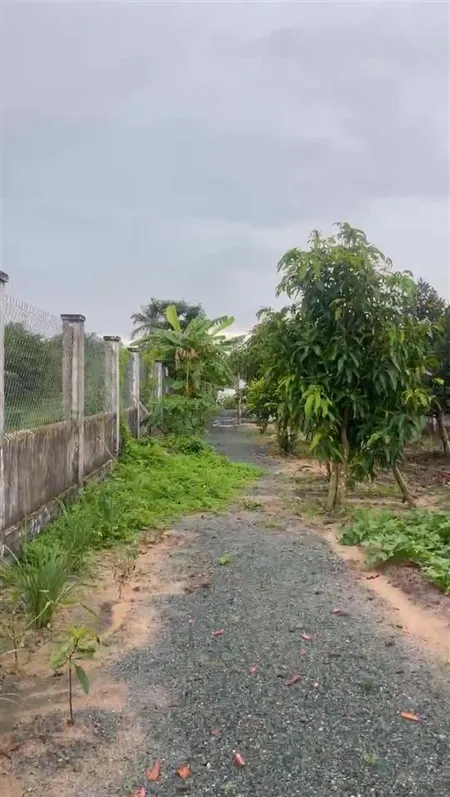 Bán nhà vườn diện tích đất 582m2, giá chỉ 2,709 tỷ ở phước an, nhơn trạch, đồng nai