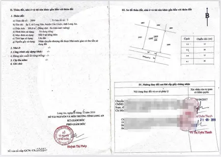 Bán đất 300m² ngang 15m giá 6 tỷ Xã Cần Giuộc