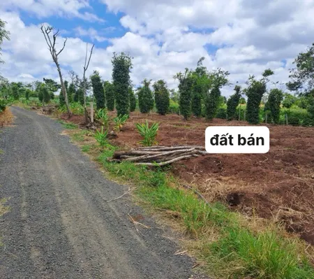 Bán đất 2500m² giá 799 triệu Xã Ea Drông