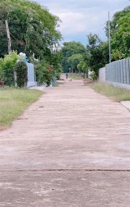 Chính chủ gửi bán lô đất góc 2 mặt tiền đã có 2000m2 thổ cư đường rộng 6m và 4m