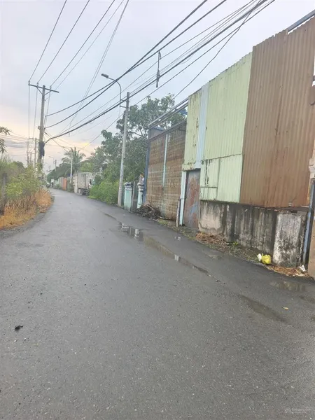 Bán đất thổ, vườn. dt 10*50m mặt tiền đường nhựa.