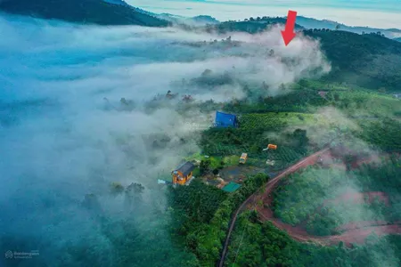 Bán lô đất 750m2 có thổ cư view săn mây đồi bát úp, phù hợp làm homestay cách bảo lộc 20 phút