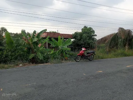 Bán đất mặt tiền đường Tỉnh 865, huyện Tân Phước, Tiền Giang.