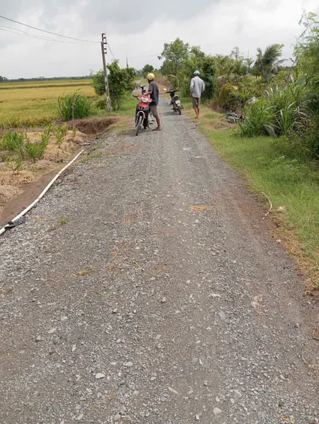B.á.n 1,3 mẫu đất ruộng giá 330tr/1000m2 tại xã Gia Thuận, Đồng Tháp.