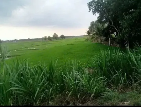 HOT! HOT ! HOT 🌿CHÍNH CHỦ BÁN ĐẤT  - GIÁ HỢP LÝ