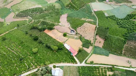 🌿 BÁN ĐẤT VIEW CHÈ MỘC CHÂU – 5.000M² (400M² THỔ CƯ) – SẴN AO, NHÀ Ở 🌿