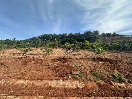 đất siêu rẻ nam ban