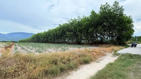 VĨNH ĐÔNG – CAM LÂM – KHÁNH HÒA | 2.129m² | CHỈ 650 TRIỆU NGUYÊN LÔ