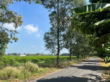 Đất tây ninh xã tân hưng huyện tân châu. nhựa 8m. 100x106m, giá còn tl