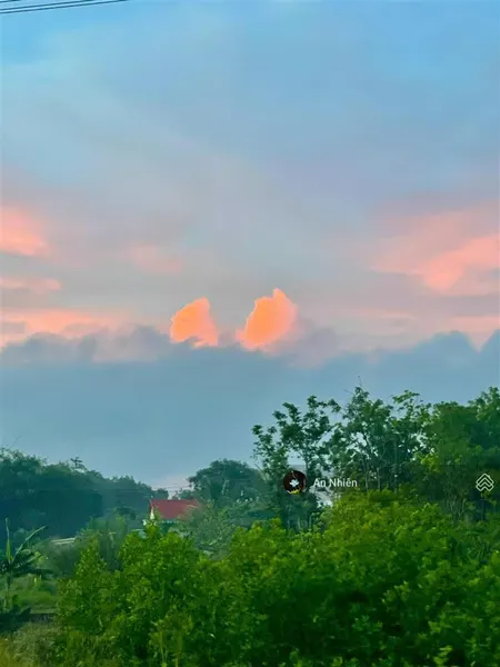 Chị một mình làm không hết nên muốn nhượng lại 1000m2 đất vườn cạnh nhà chị