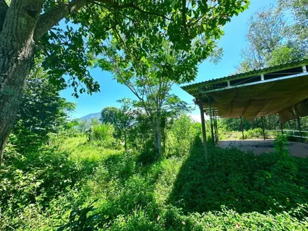Bán lô đất bên bờ sông cái nha trang. thích hợp làm nhà vườn. dt 2400m2. giá 2,7 tỷ
