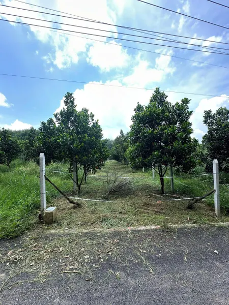 💥 Bán nhanh đất mặt tiền DH507 – 250m² chỉ 420tr, sổ riêng, thổ cư 100m²!