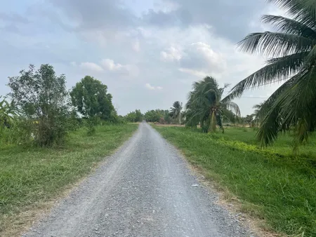 B.á.n 2,3 mẫu đất ruộng rẻ giá 350tr/1000m2 mặt tiền kênh 3, gần Biển Rạch Bùn, Tân Điền.