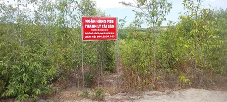📣📣📣 Ngân hàng TMCP Hàng Hải Việt Nam (MSB) bán đấu giá tài sản:
🏡 BĐS:         Thôn 3, xã Hòa Phú, huyện Chư Păh, tỉnh Gia Lai.
👉 Thửa đất: Thửa đất số 03 + 06; Tờ bản đồ số 46 
👉Diện tích:   Lô 03: 5623,7 m2; Lô 06: 4290,7 m2
👉Hình thức sử dụng:  Sử 