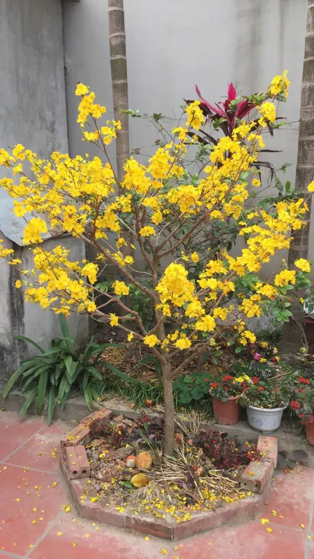Bán nhà mặt tiền nguyên thị thập 6x32m 1 lầu giá 54 tỷ lh: 0942183868 Huy