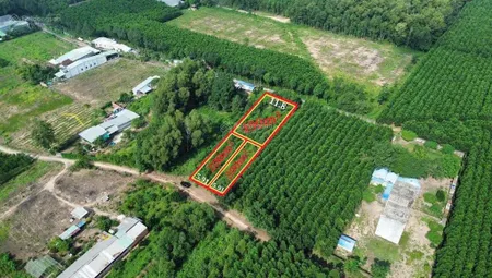 Bán đất 200m2 tại hùng vương, nhơn trạch, 1,65 tỷ