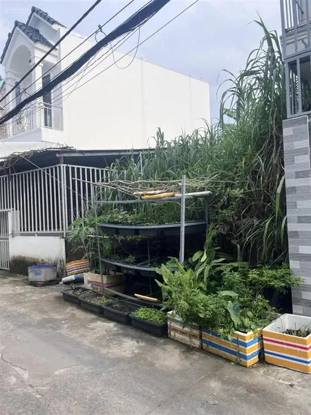 Bán đất tại nguyễn văn tạo, 2,75 tỷ, 70m2, nhà bè, hcm, hàng hiếm giá cực chất