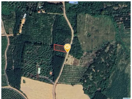 Bán đất 1000.1m² giá 1 tỷ Xã Định Quán